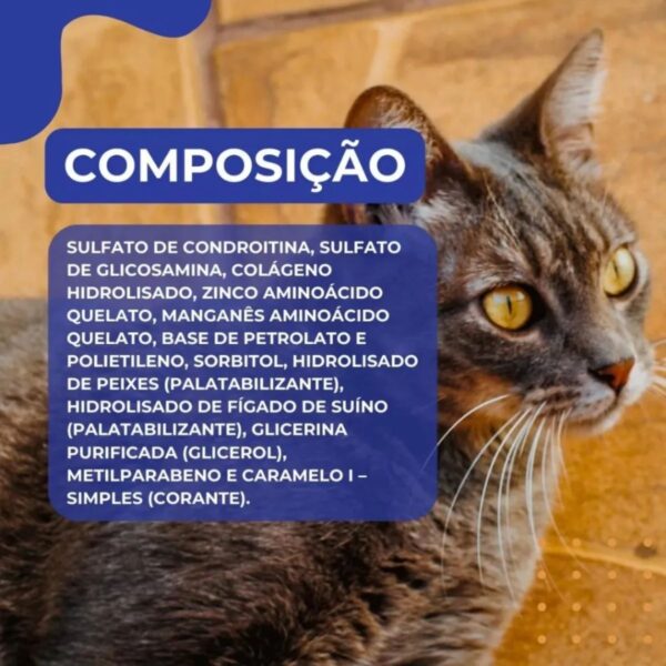 Condroplex Pasta 60g - Imagem 14