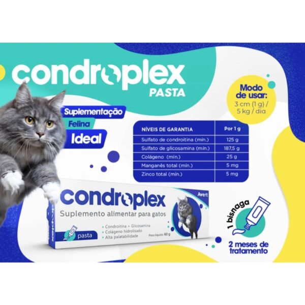 Condroplex Pasta 60g - Imagem 15