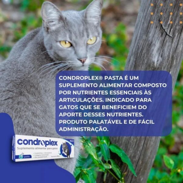 Condroplex Pasta 60g - Imagem 12