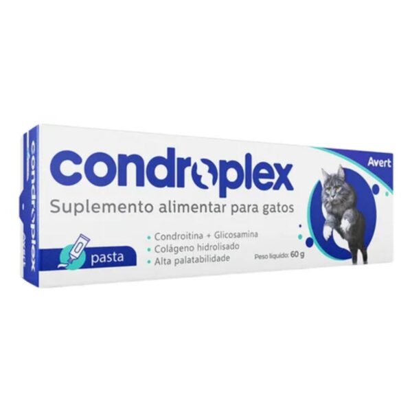 Condroplex Pasta 60g - Imagem 2