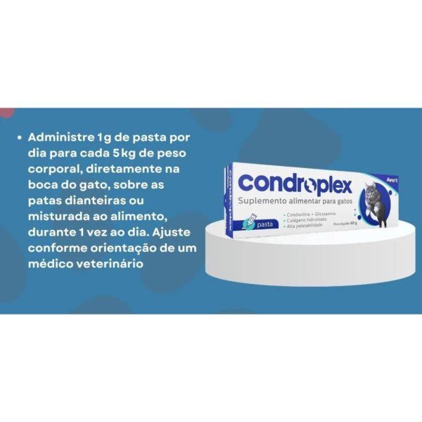 Condroplex Pasta 60g - Imagem 8