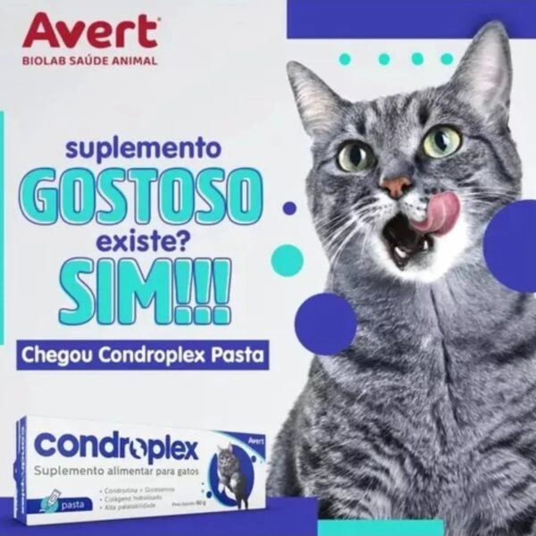 Condroplex Pasta 60g - Imagem 7