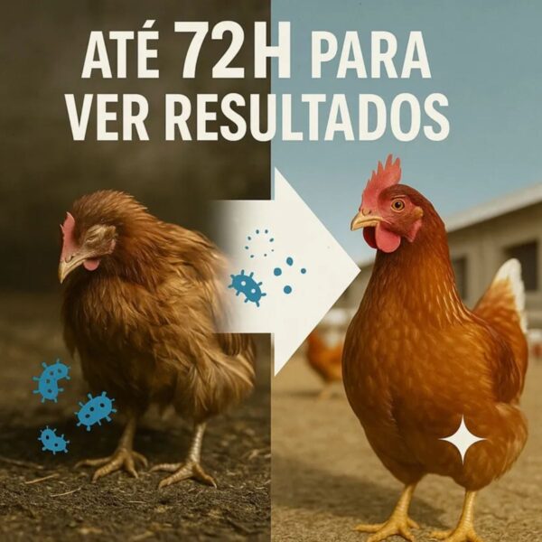 Sulfamicina Para Aves 1 Litro - Para Tratamento De Coccidiose - Ibasa - Imagem 7