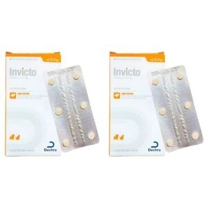 2 Caixas Invicto 11,4mg 6cp - Para Cães E Gatos - Dechra