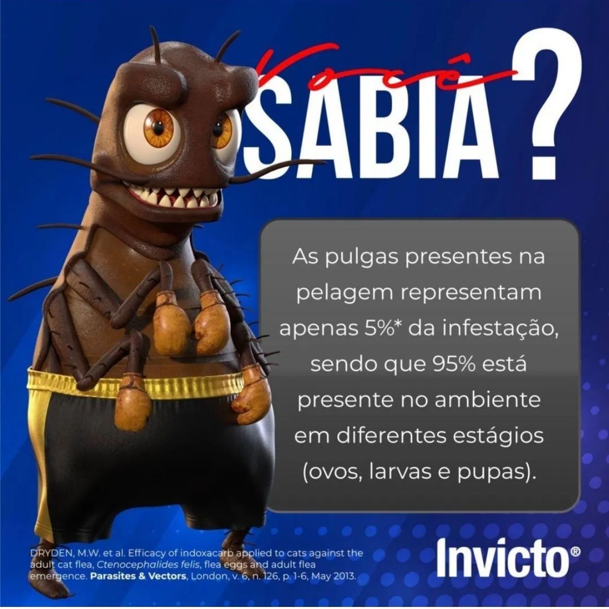 Kit 07 Invicto 11,4mg 6cp - Para Cães E Gatos - Dechra - Imagem 4