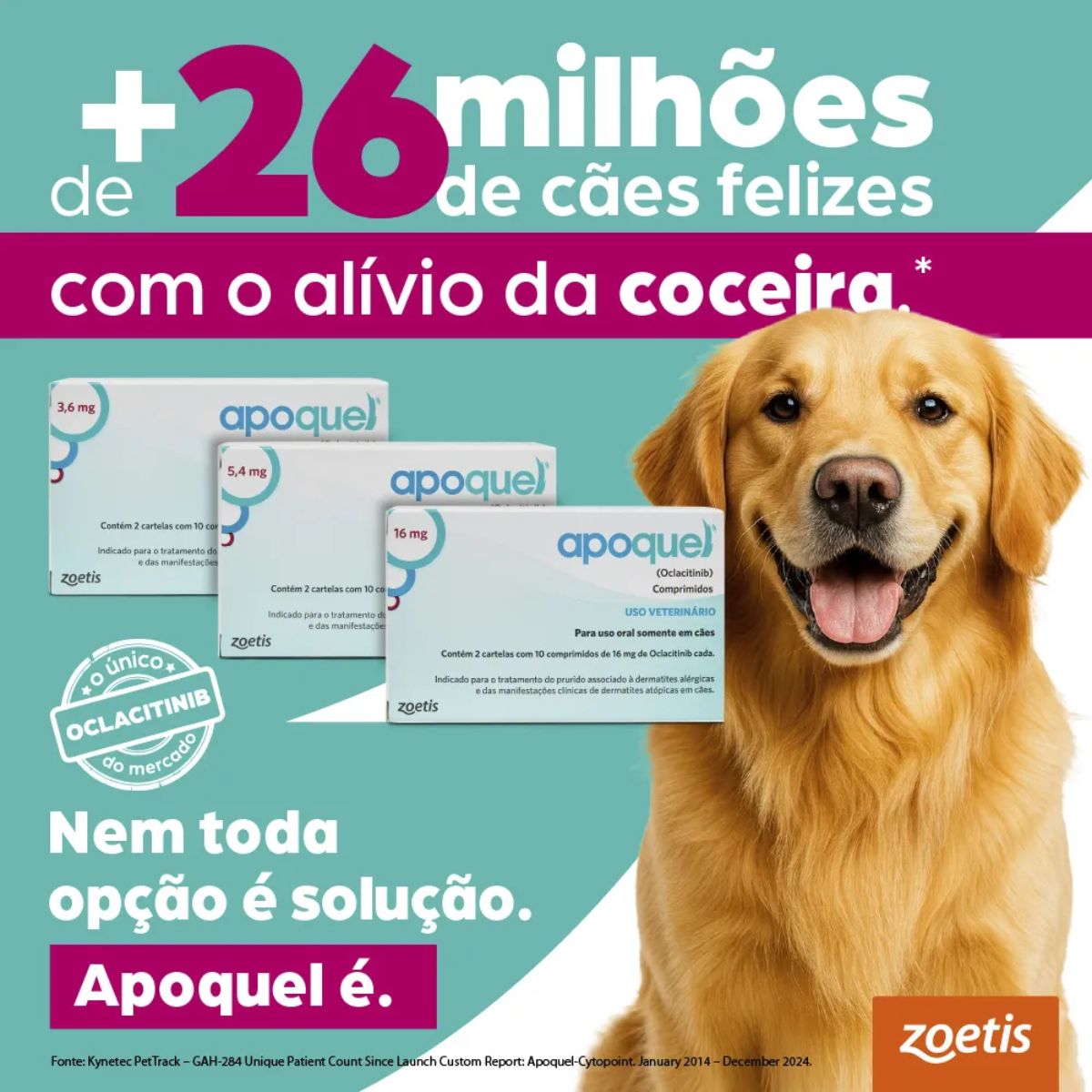 10 Cxs Apoquel 3,6 mg 20 Comprimidos - Zoetis - Imagem 5