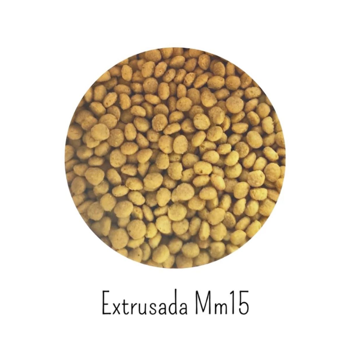 3un MegaZoo Ração Extrusada Calopsitas/Ring Necks MM15 300g - Imagem 6