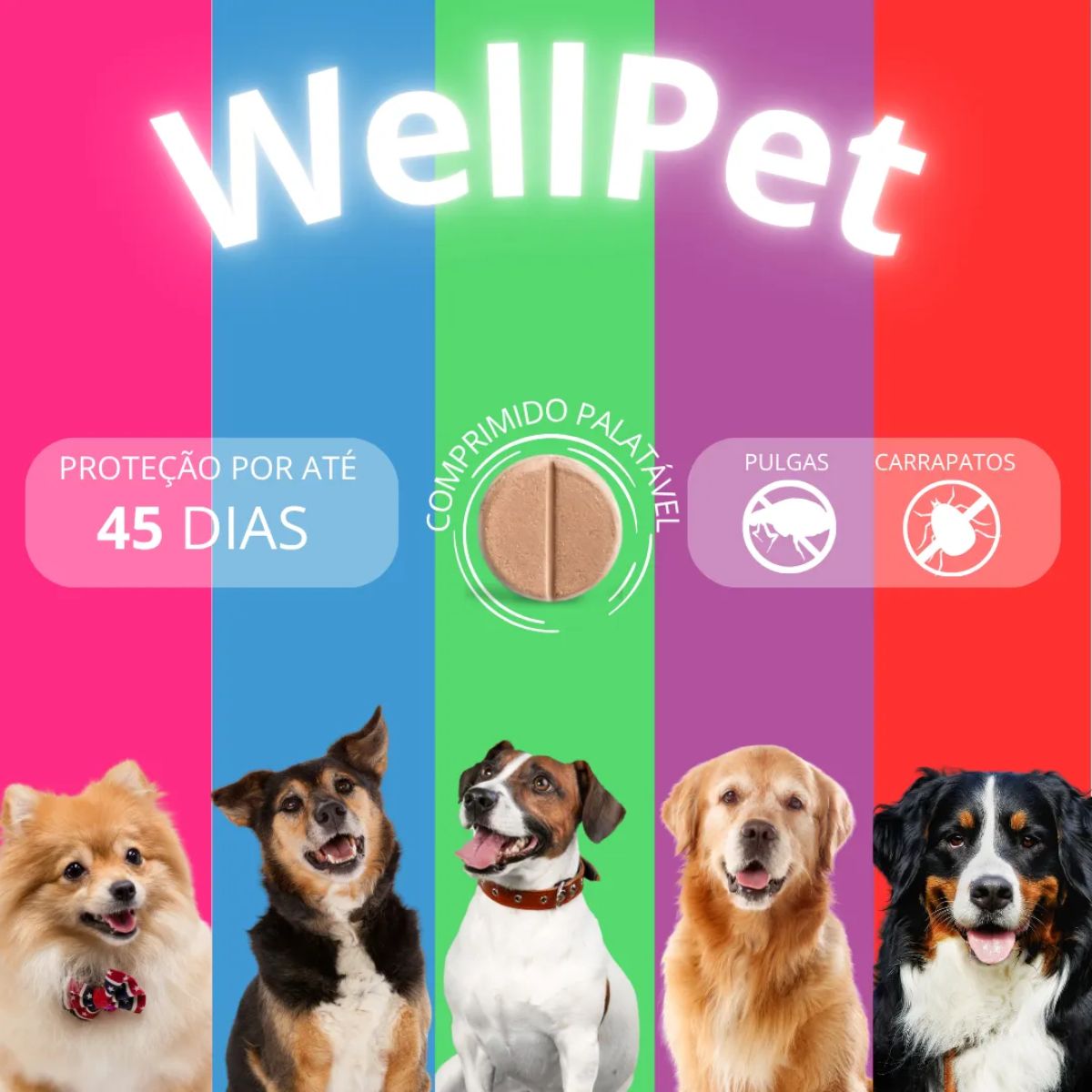Wellpet 400mg - Caes De 20,1 A 40kg - Imagem 3