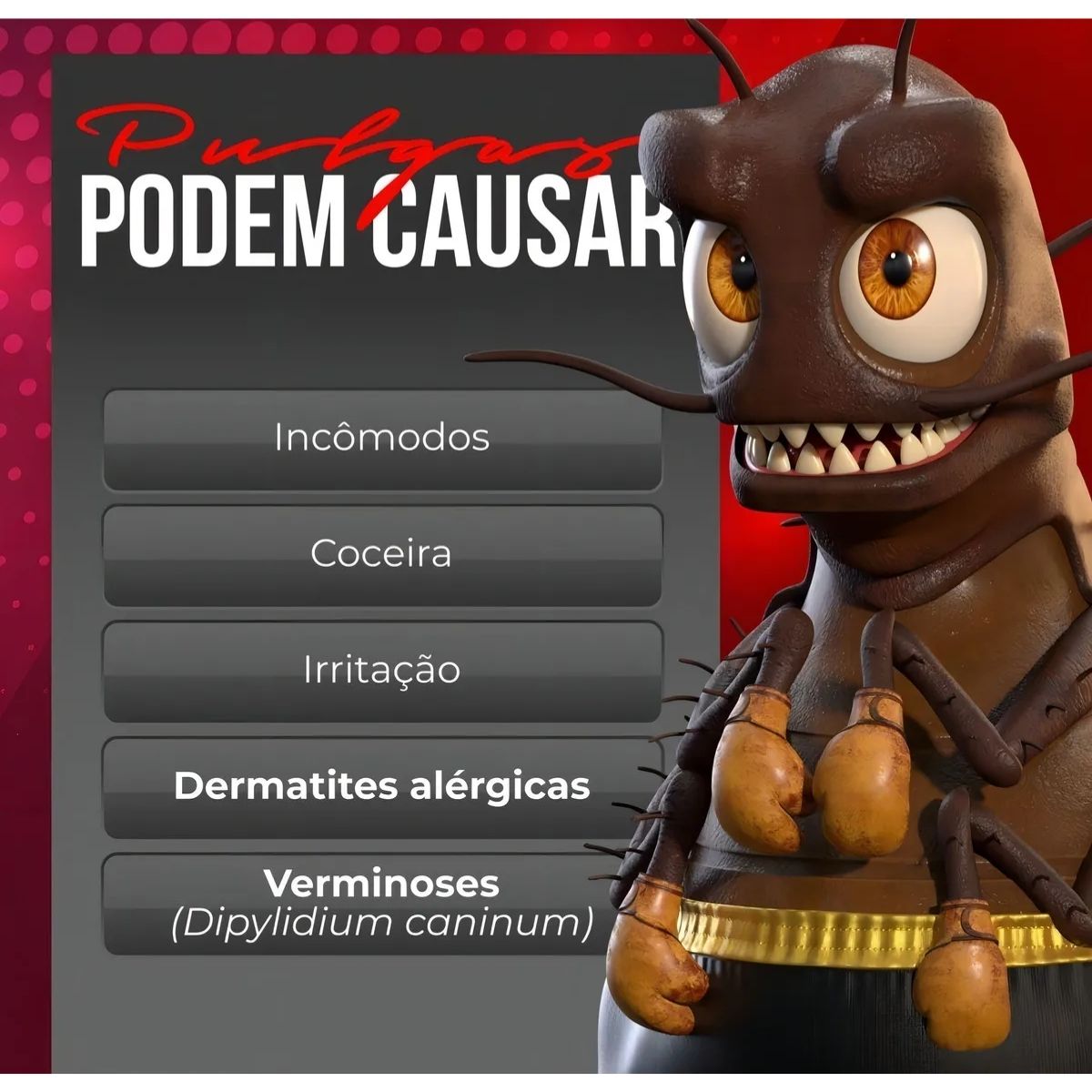 2 Caixas Invicto 11,4mg 6cp - Para Cães E Gatos - Dechra - Imagem 5