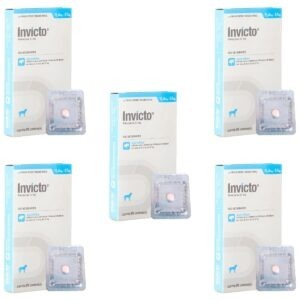 5cx Invicto 57mg 1cp - Para Cães De 11,4 Até 57kg - Dechra