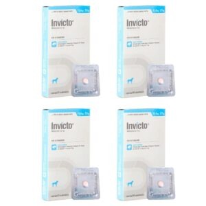 4cx Invicto 57mg 1cp - Para Cães De 11,4 Até 57kg - Dechra