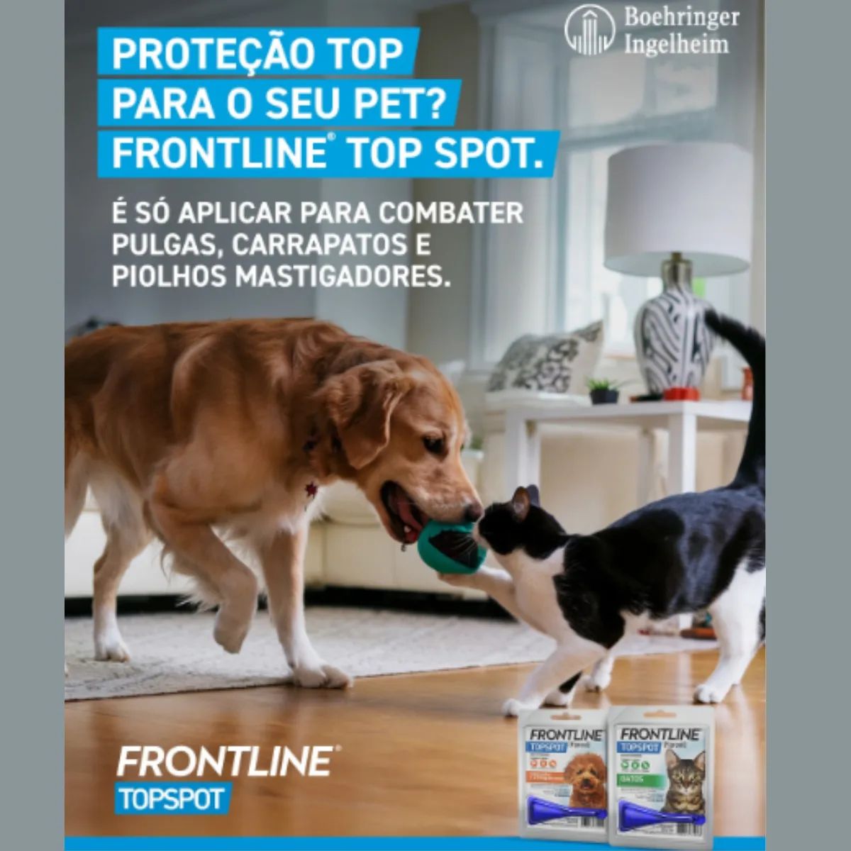 2 Frontline TopSpot 20kg a 40kg - Boehringer - Imagem 4