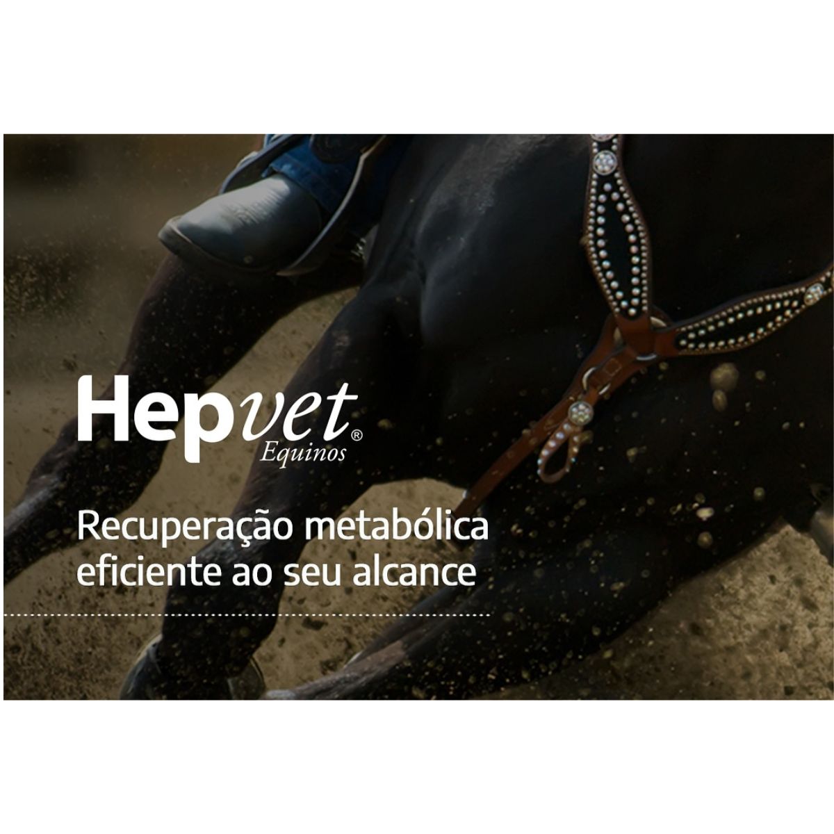 3 Hepvet Equinos Pasta 39g - Vetnil - Imagem 6