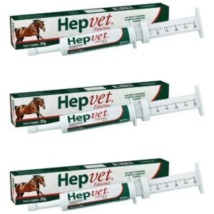 3 Hepvet Equinos Pasta 39g - Vetnil