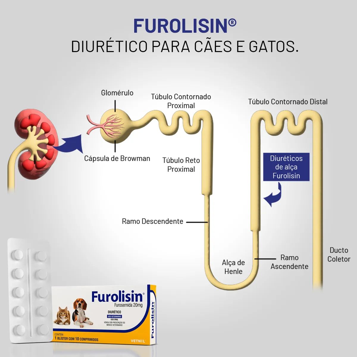 3 Cxs Furolisin 10mg 120 Comprimidos - Vetnil - Imagem 6
