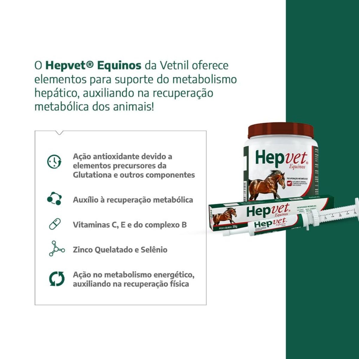 3 Hepvet Equinos Pasta 39g - Vetnil - Imagem 4
