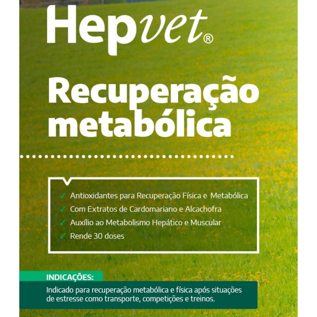 2 Hepvet Equinos Pasta 39g - Vetnil - Imagem 3