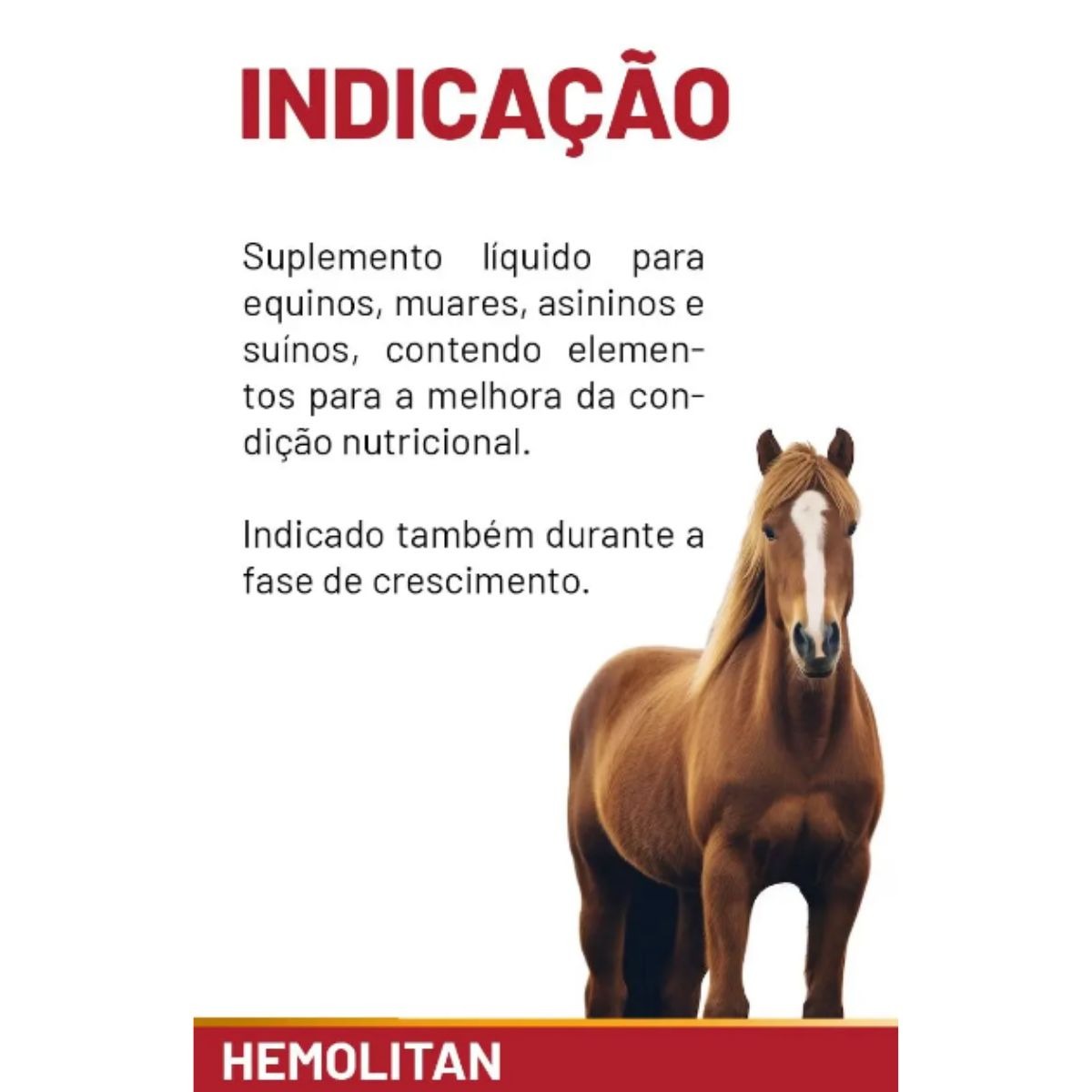 3 Hemolitan 5L Galão Suplemento Vitaminico Para Equinos - Imagem 3