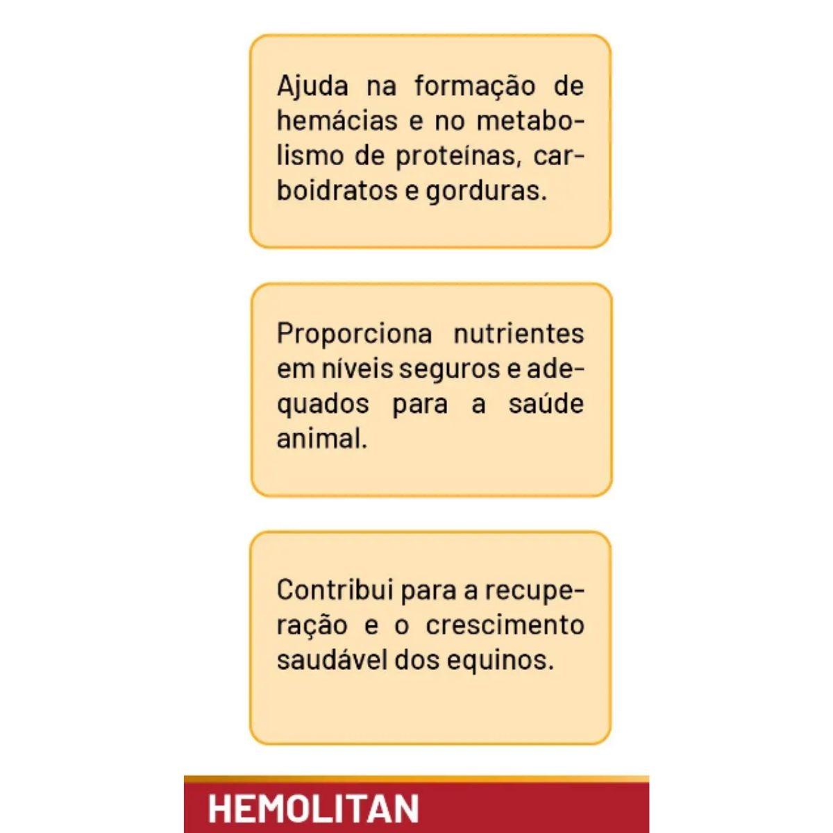 3 Hemolitan 5L Galão Suplemento Vitaminico Para Equinos - Imagem 5