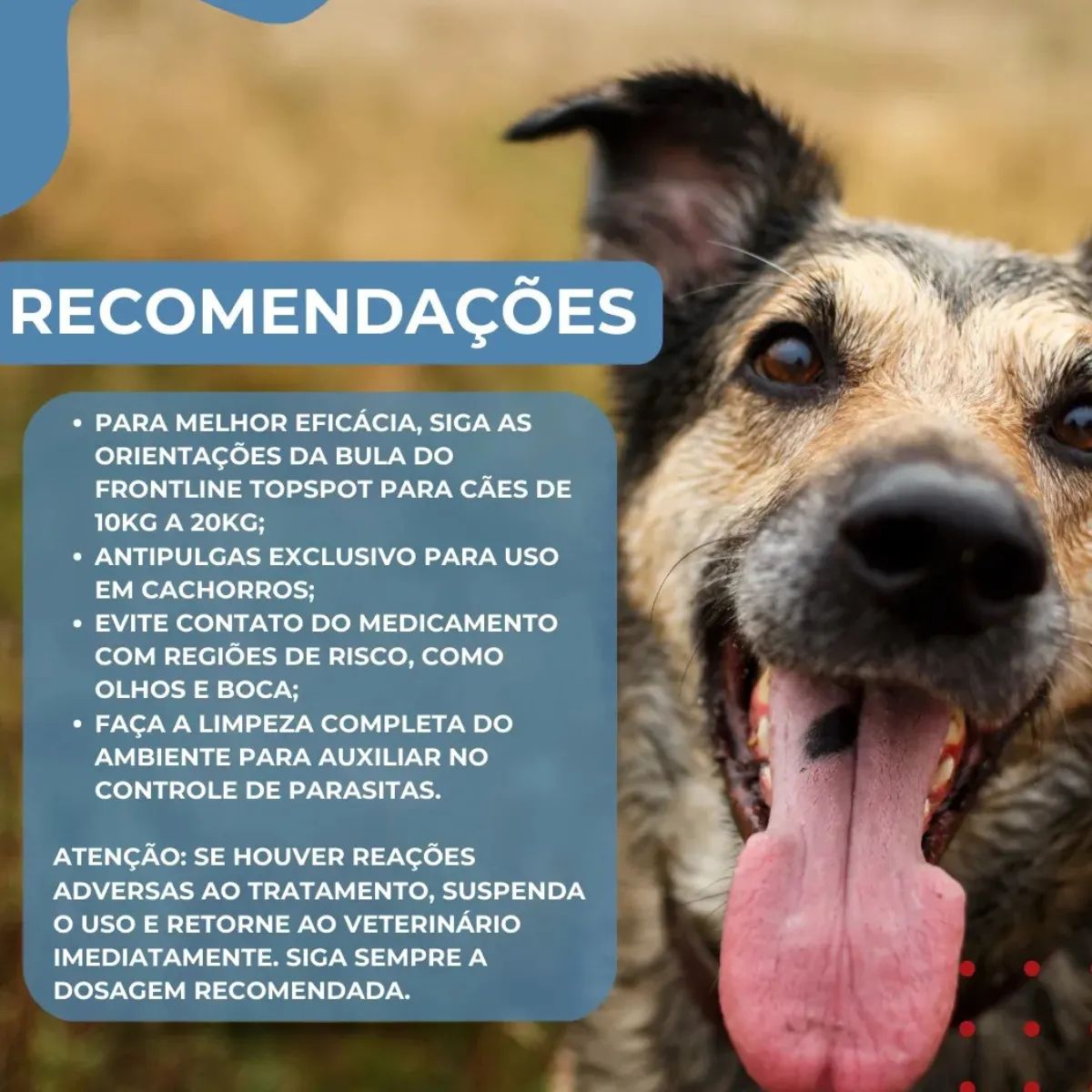 2 Frontline TopSpot 20kg a 40kg - Boehringer - Imagem 5