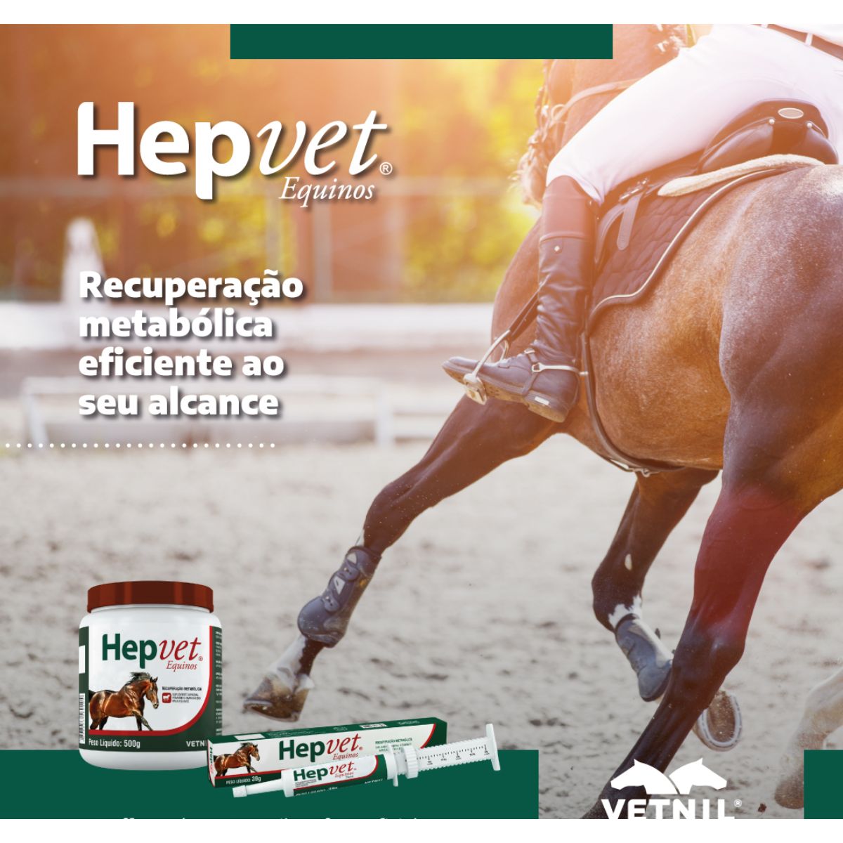 3 Hepvet Equinos Pasta 39g - Vetnil - Imagem 5