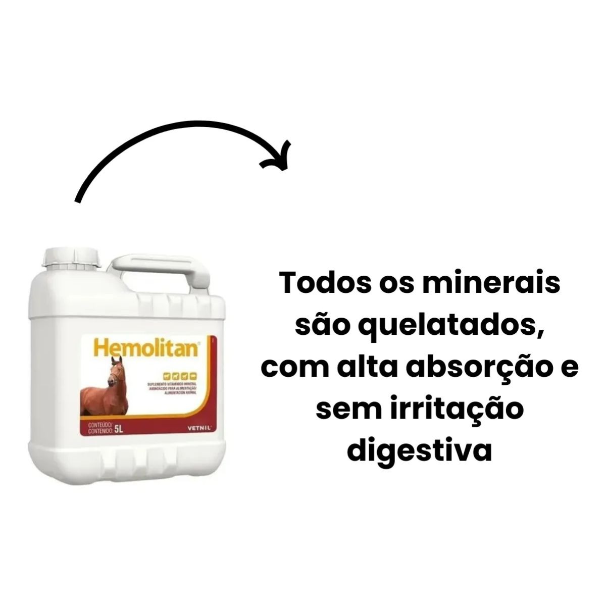 3 Hemolitan 5L Galão Suplemento Vitaminico Para Equinos - Imagem 6