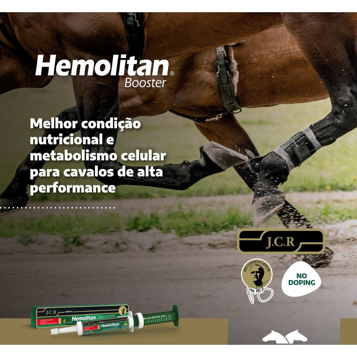 2 Hemolitan Booster Jcr Pasta 40g - Vetnil - Imagem 4