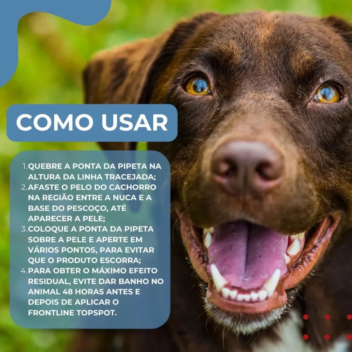 2 Frontline TopSpot 20kg a 40kg - Boehringer - Imagem 6