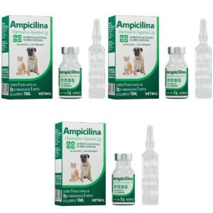 3 Ampicilina Veterinária Injetável 2g - Vetnil
