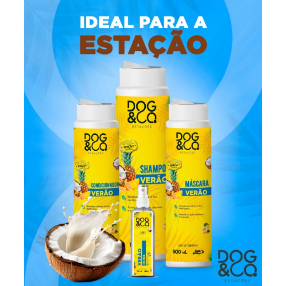 Combo Dog&Co Estações Verão - Mundo Animal - Imagem 5