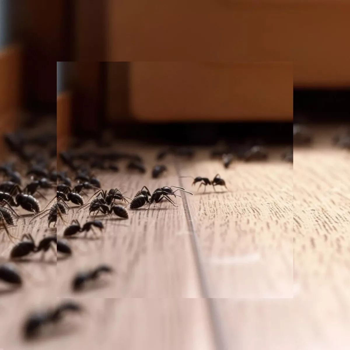 Kit 2 Unidades - Citromax Doméstico Spray 500ml - Imagem 4