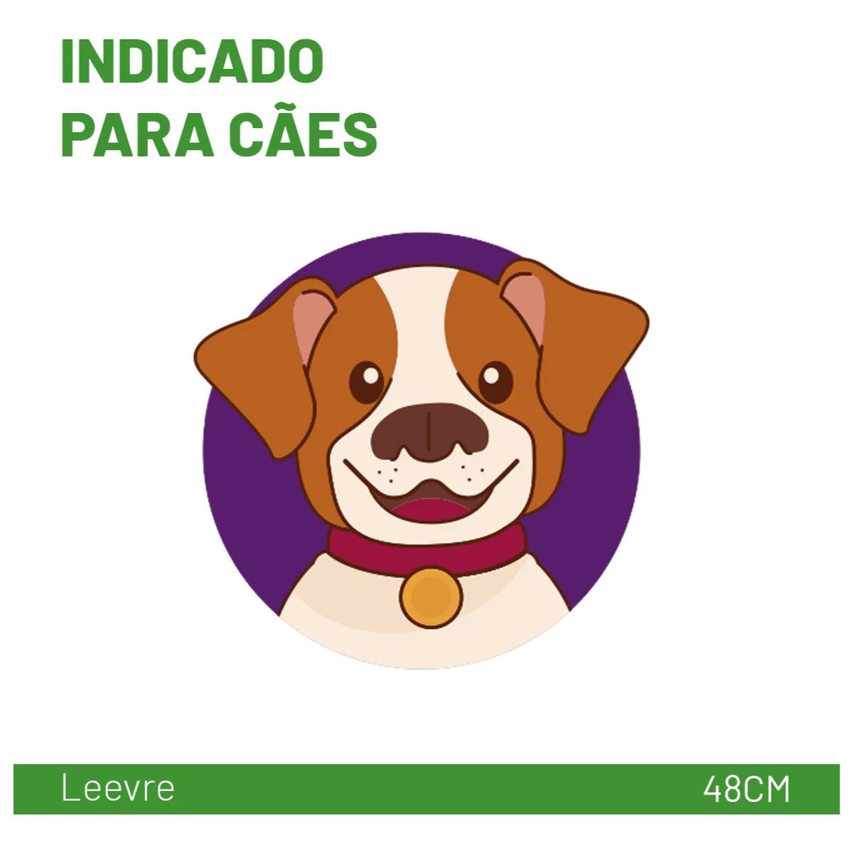 Leevre 48cm Coleira Anti Pulgas E Carrapatos P/m Ouro Fino - Imagem 7