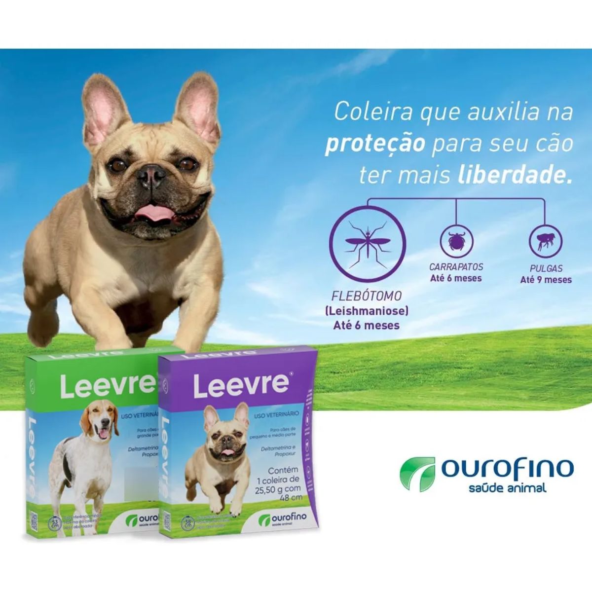 Leevre 48cm Coleira Anti Pulgas E Carrapatos P/m Ouro Fino - Imagem 2