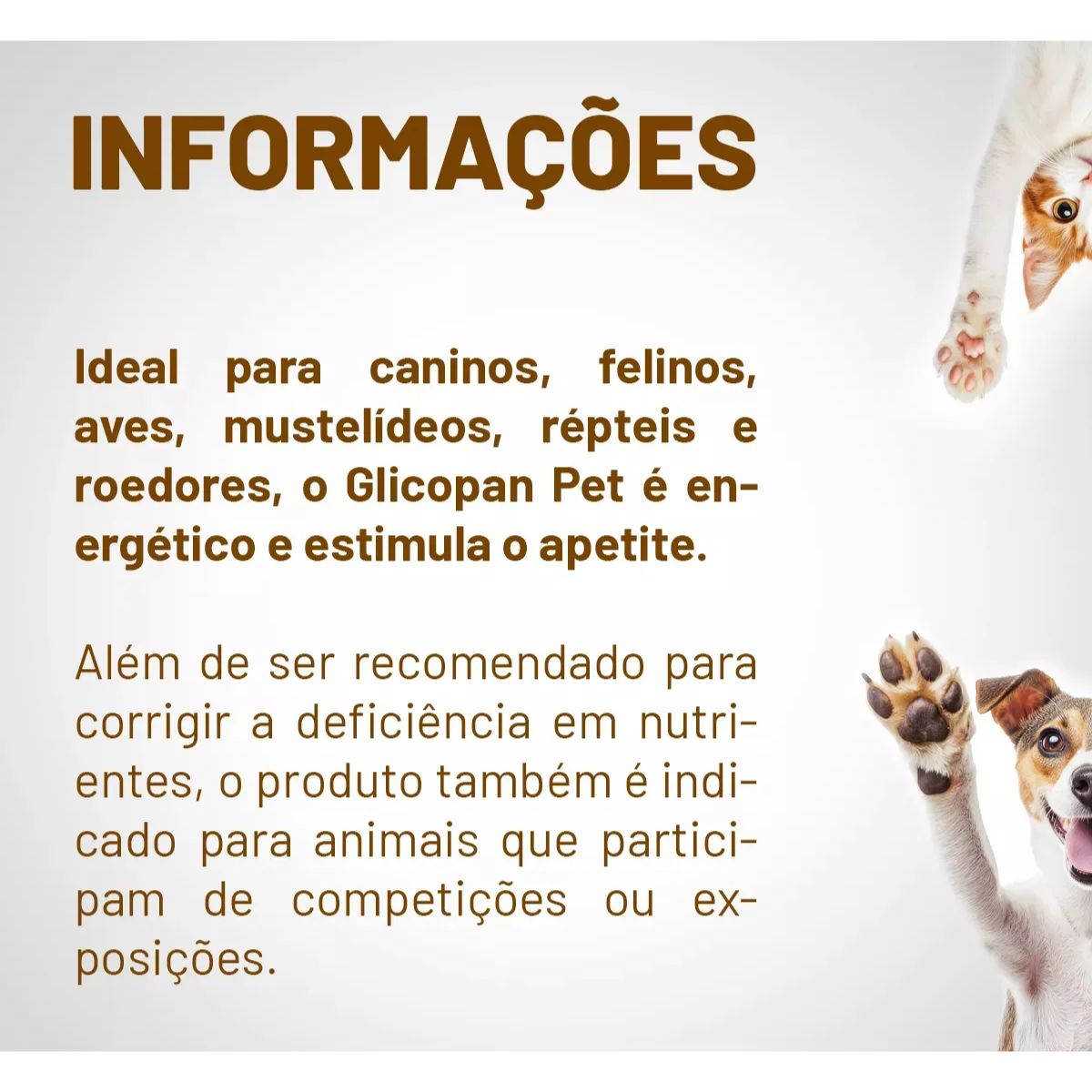 Glicopan Pet 250ml - Imagem 5