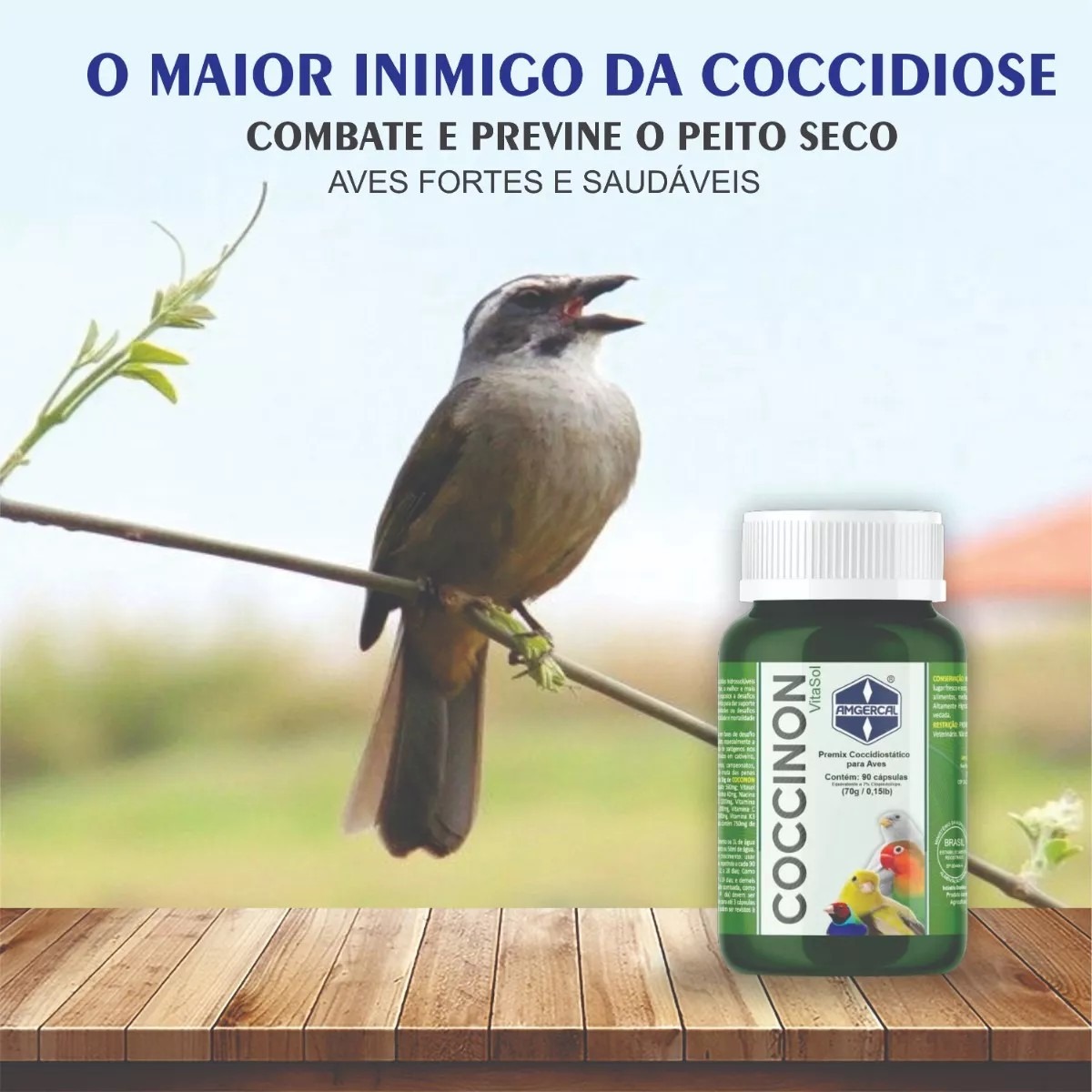 Coccinon 90cp - Imagem 2