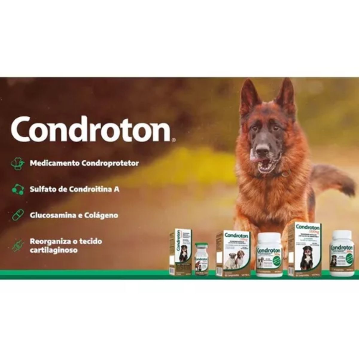 Condroton 1000mg - Imagem 3