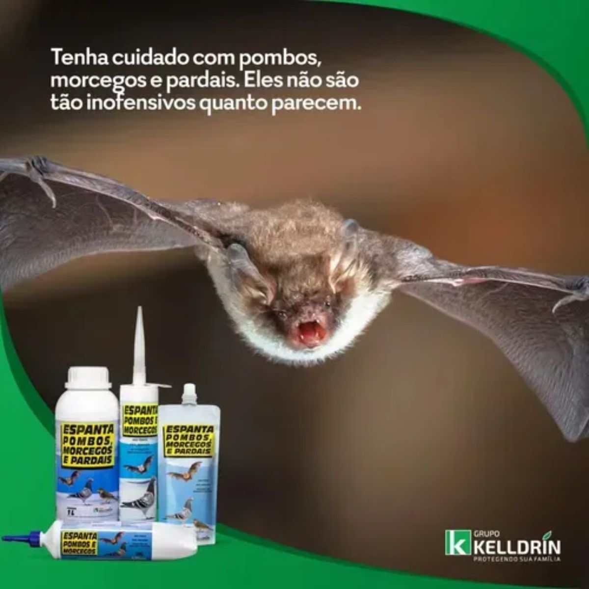 Espanta Pombos, Morcegos E Pardais (Sachê) 200g - Imagem 5