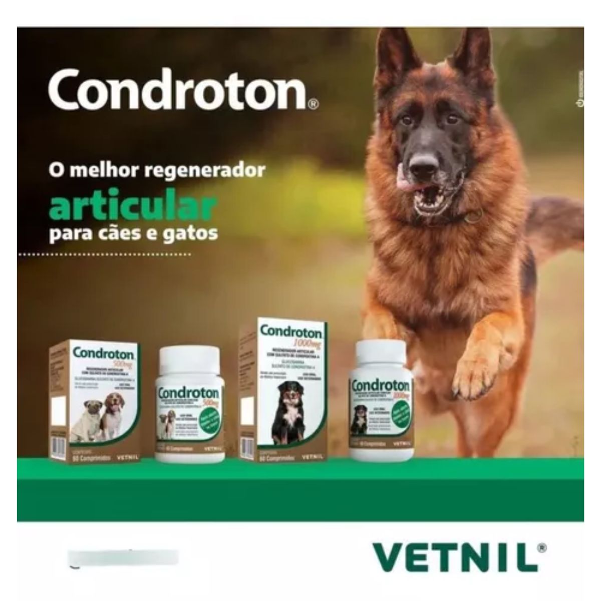 Condroton 500mg - Imagem 4