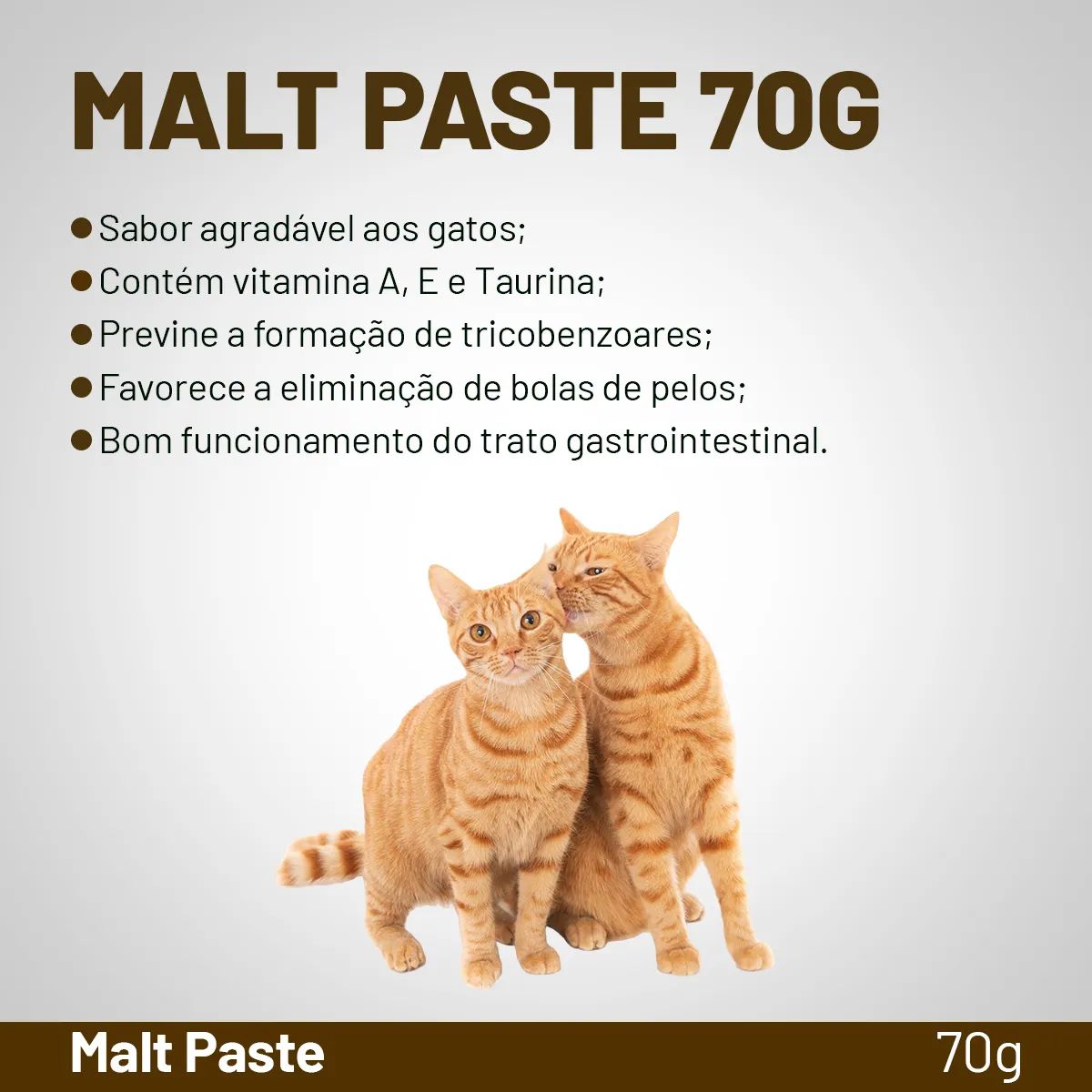2un Malt Paste 70g - CatCo Nutrisana Mundo Animal - Imagem 4