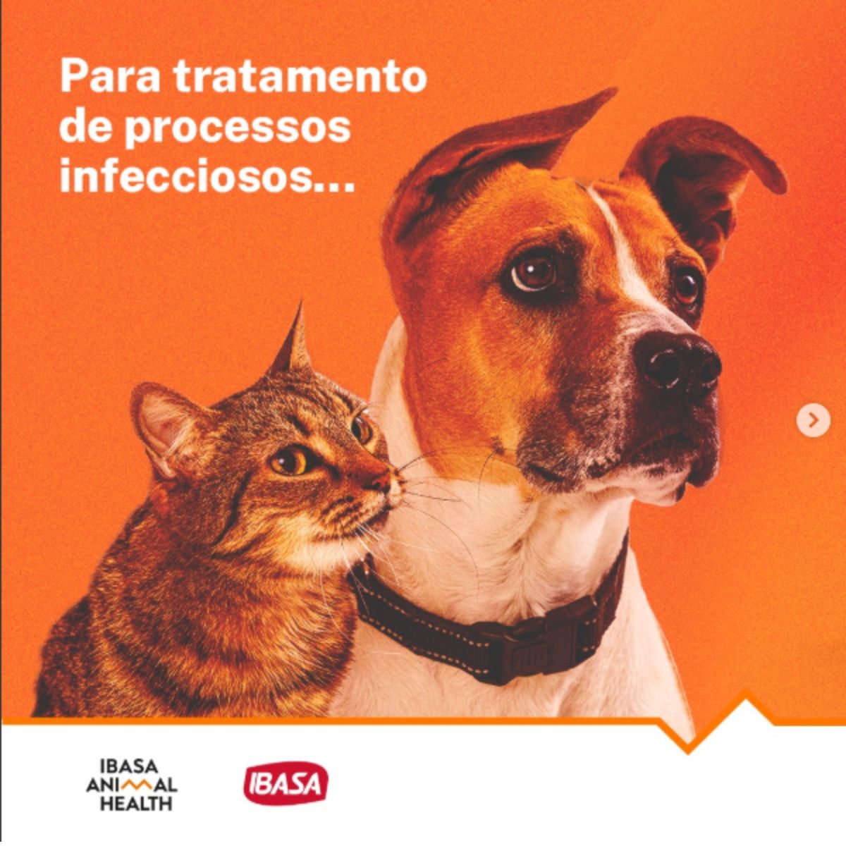 Ibatrim Oral 50ml - Ibasa - Imagem 8