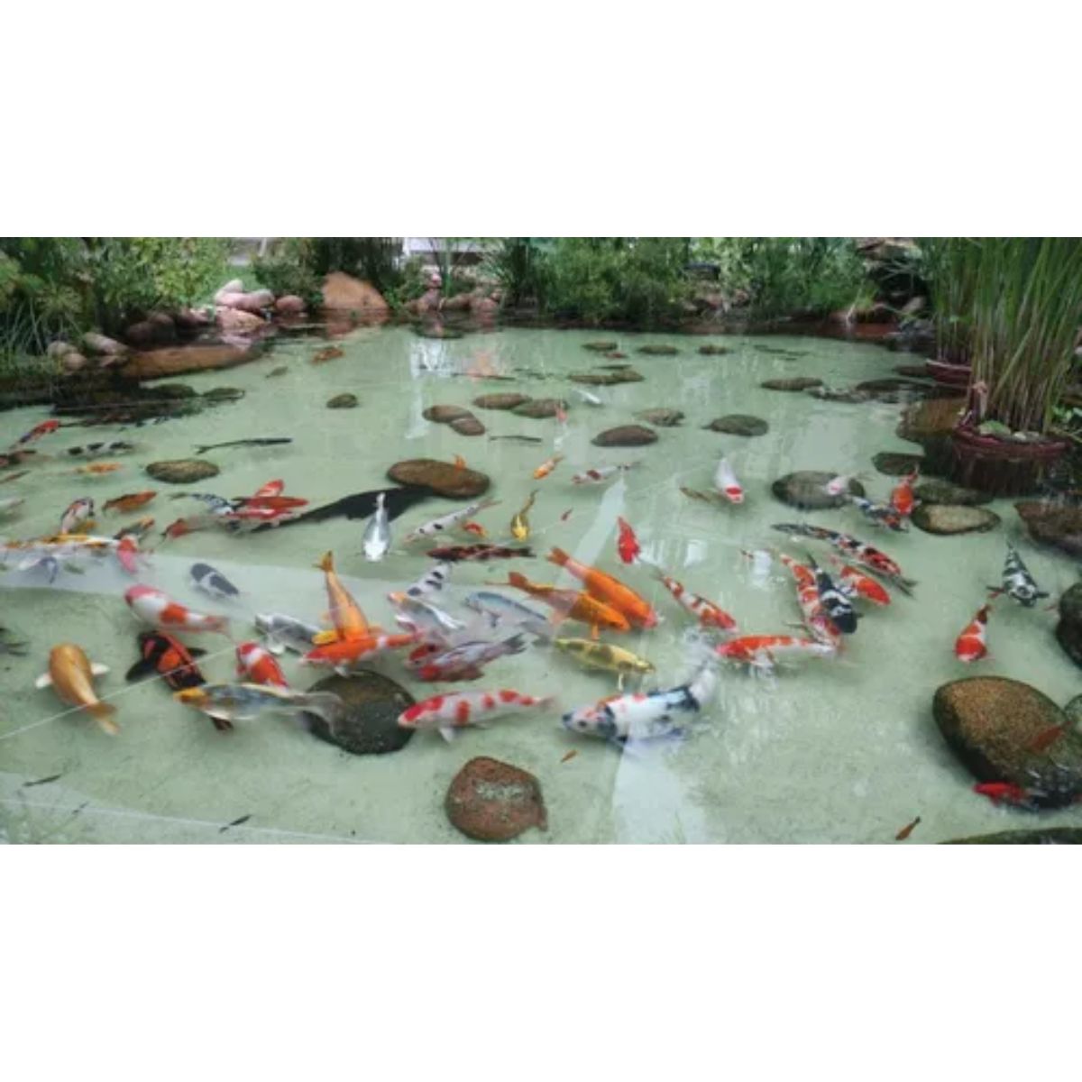 Filtro UV 55w 110v - Imagem 5