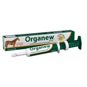Organew Pasta 32g