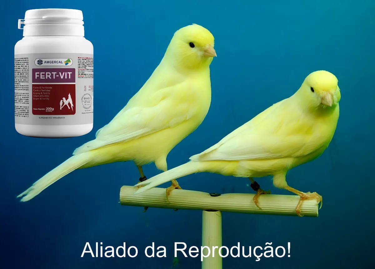 Fert-Vit 200g - Imagem 2