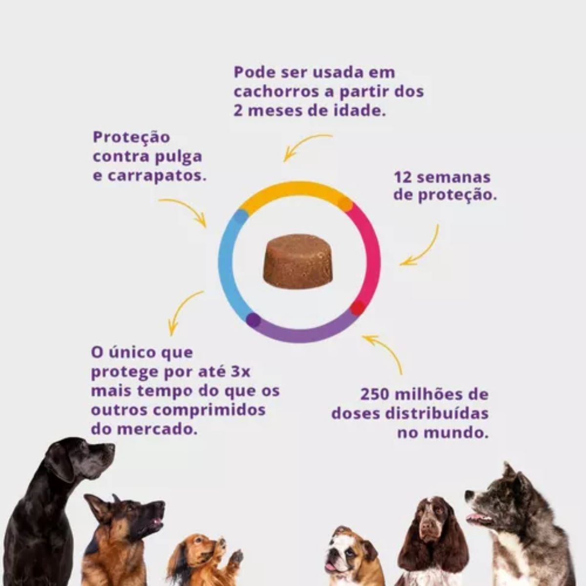 Bravecto 20kg a 40kg -MSD - Imagem 4