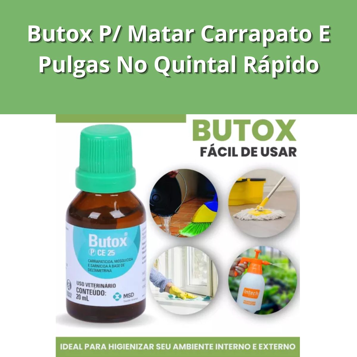 Kit 3 Butox Antipulgas Carrapaticida Sarnicida Ambiente 20ml - Imagem 8