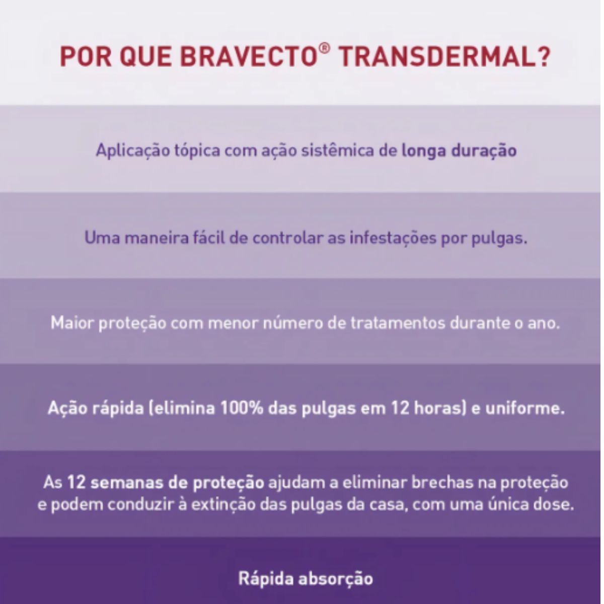 Bravecto Transdermal Gatos 500mg - MSD - Imagem 4