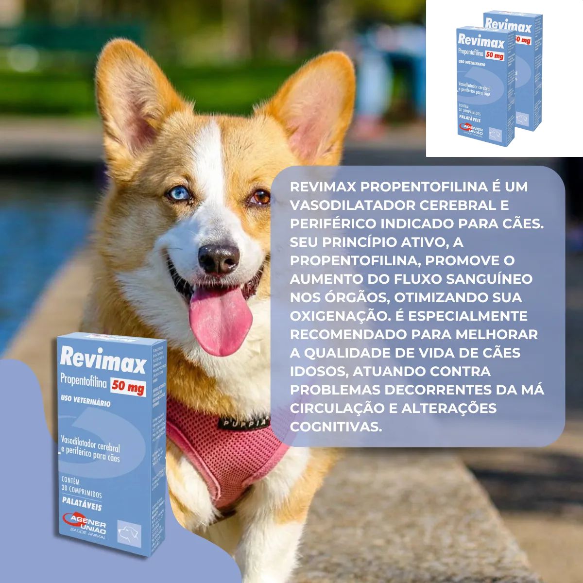 Kit 02 Revimax - Imagem 14