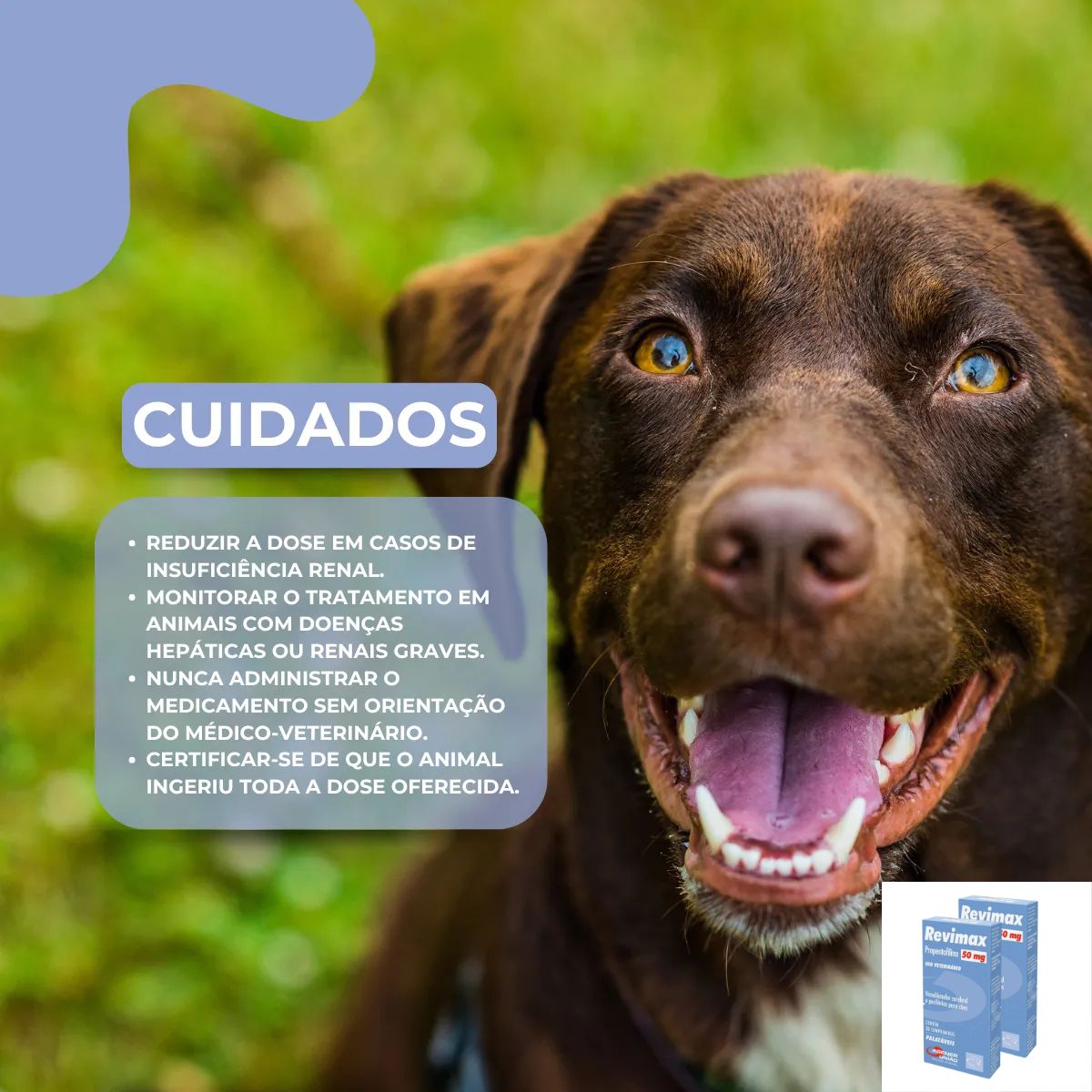 Kit 02 Revimax - Imagem 7