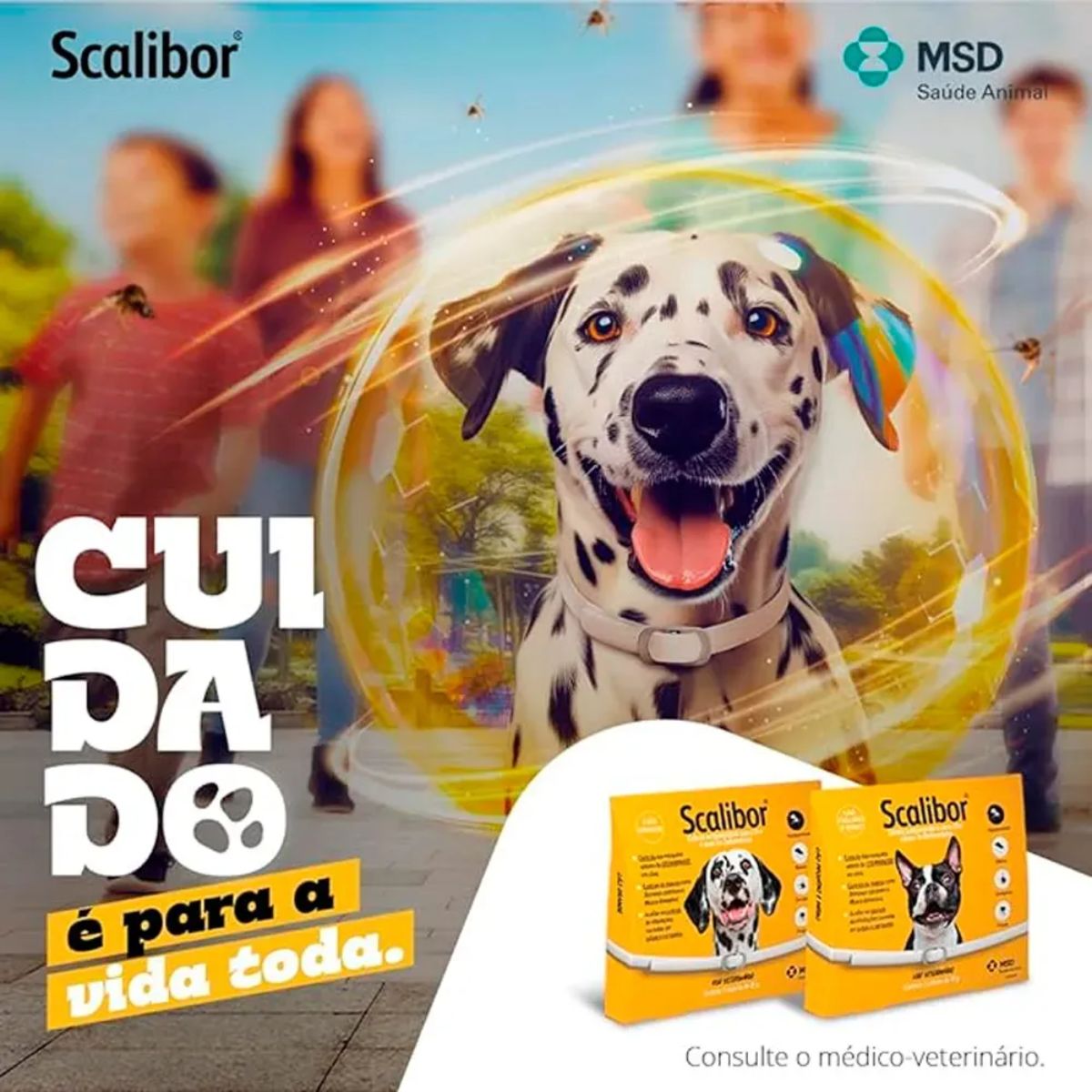Kit 6 Scalibor Cães Grandes 65cm - MSD - Imagem 9