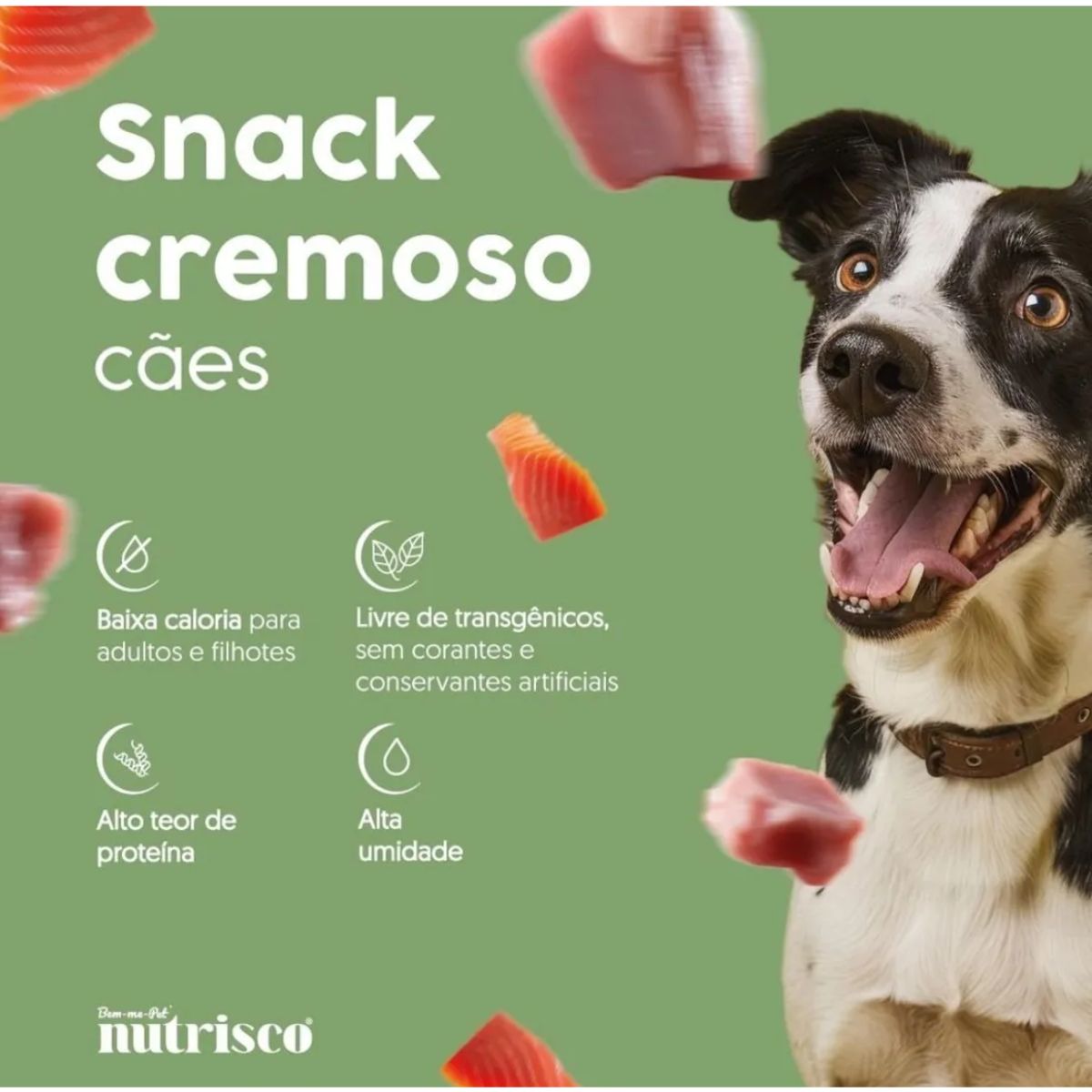 Pack 4 Sachês Snack Cremoso Nutrisco 56g Frango - Para Cães - Imagem 4
